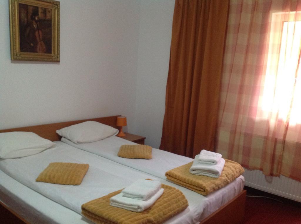 Hotel Panoramic Moneasa Room photo