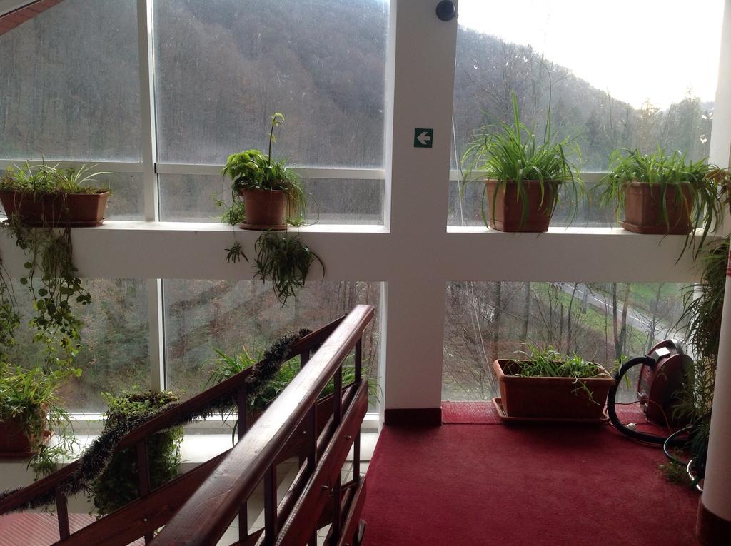 Hotel Panoramic Moneasa Room photo